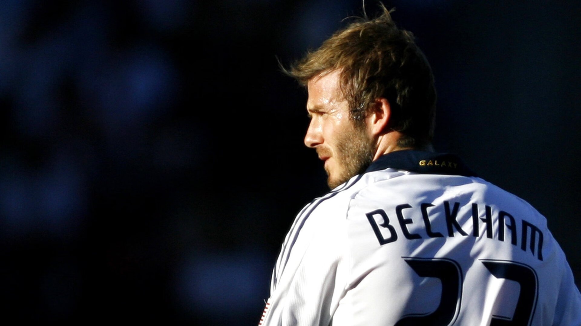 “荒野骑士”——在极端环境中的速度之战,荒野骑士吉他谱